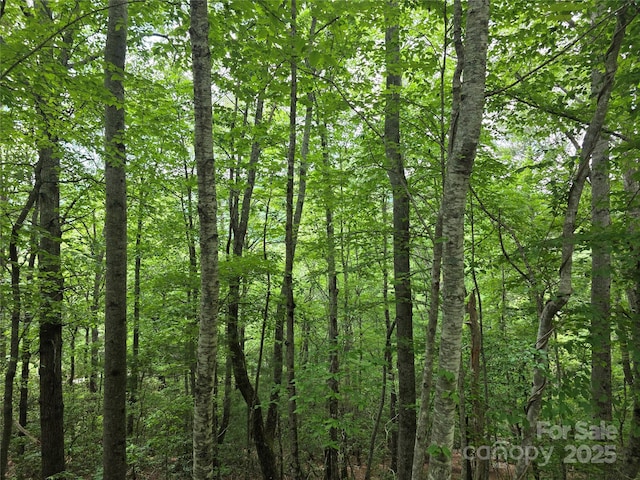 216 High Vista Rd, Mills River, NC 28759 - photo 5