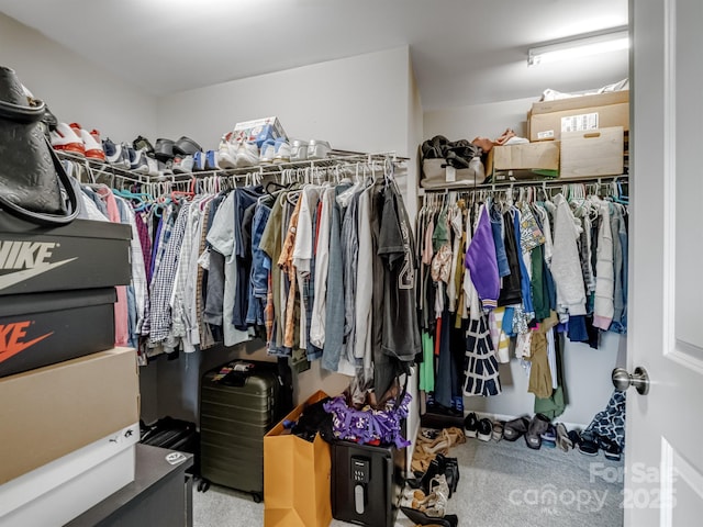 3702 Wiegon Ln, Charlotte, NC 28216 - photo 25