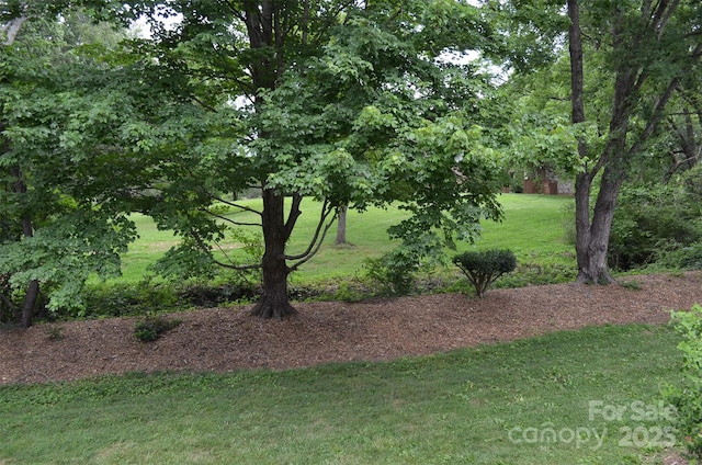 609 Crowfields Ln, Asheville, NC 28803 - photo 30