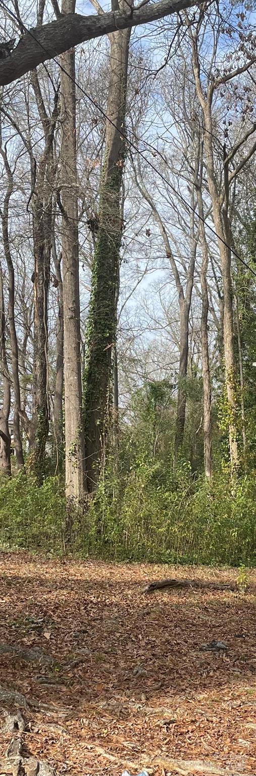 0 Skipper St, Rockingham, NC 28379