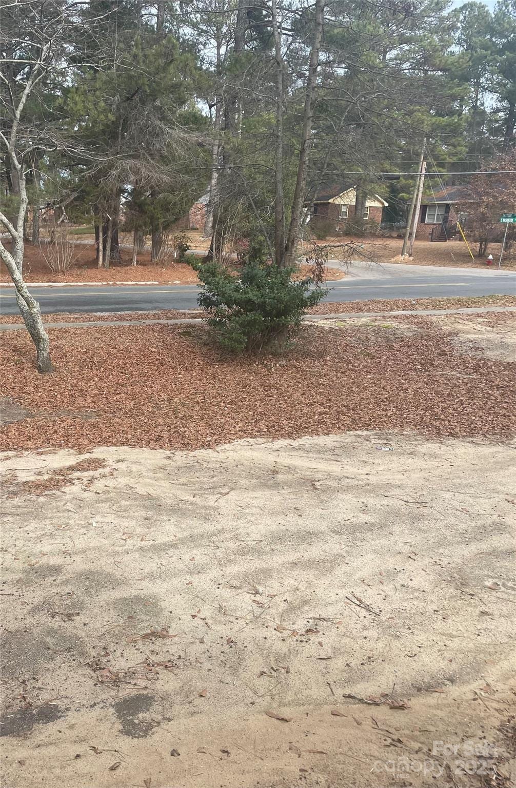 0 E Washington St, Rockingham, NC 28379 - photo 1