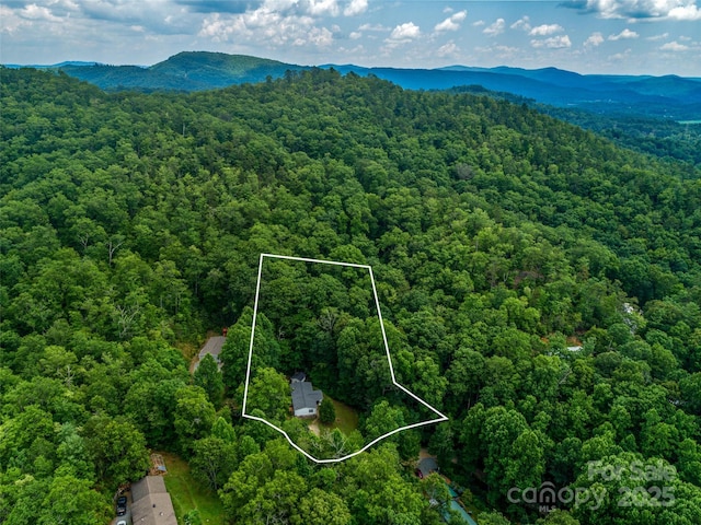 398 Normcol Dr, Pisgah Forest, NC 28768 - photo 3