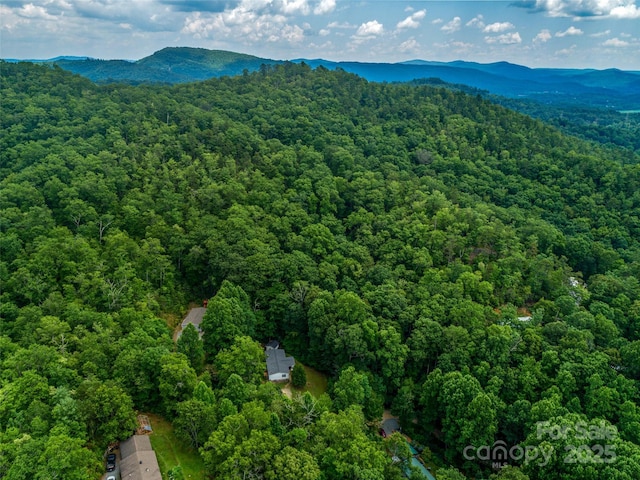 398 Normcol Dr, Pisgah Forest, NC 28768 - photo 5