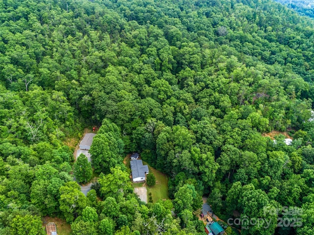 398 Normcol Dr, Pisgah Forest, NC 28768 - photo 7