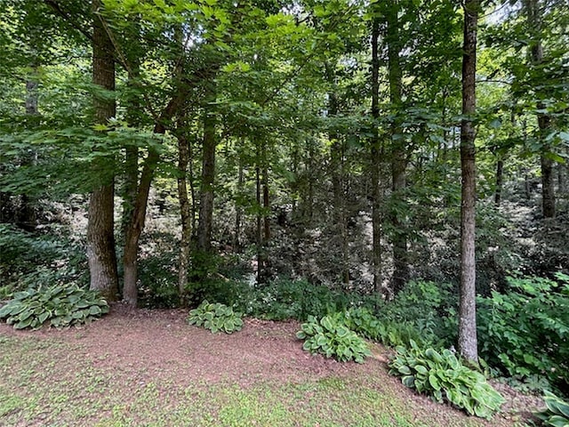 398 Normcol Dr, Pisgah Forest, NC 28768 - photo 37