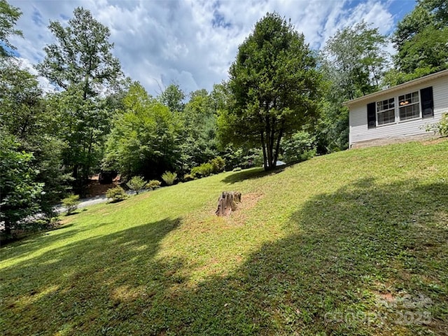 398 Normcol Dr, Pisgah Forest, NC 28768 - photo 38