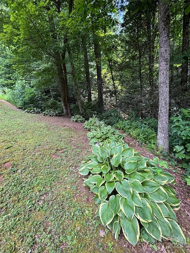 398 Normcol Dr, Pisgah Forest, NC 28768 - photo 39
