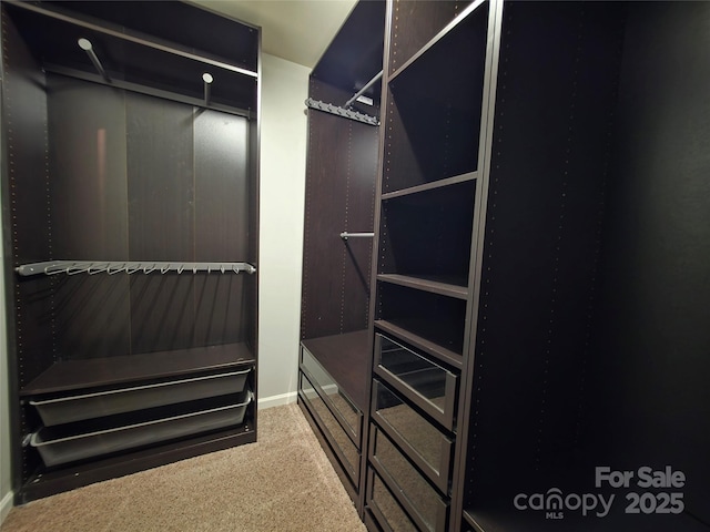 6005 Trailwater Rd, Charlotte, NC 28278 - photo 27