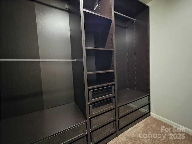 6005 Trailwater Rd, Charlotte, NC 28278 - photo 28