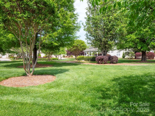 2607 Old Ashworth Ln NW, Concord, NC 28027 - view of green lawn