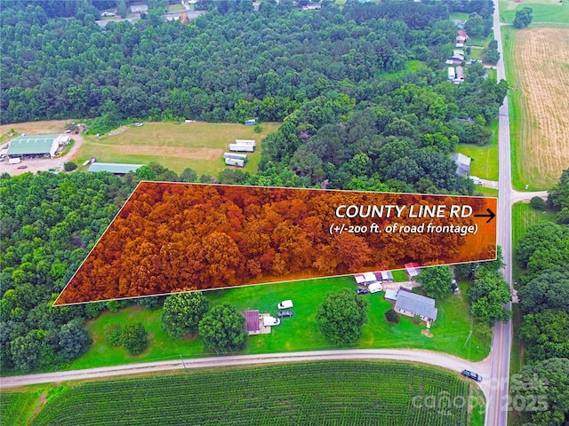 TBD County Line Rd, Stony Point, NC 28678 - photo 2