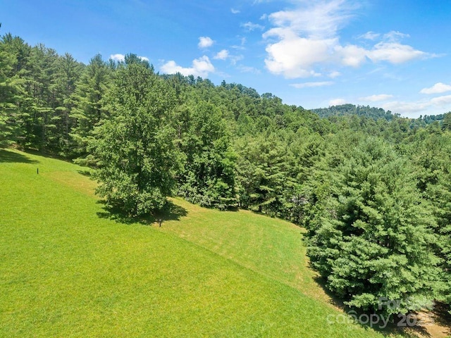 5215 Double Island Rd, Green Mountain, NC 28740 - drone / aerial view of a forest