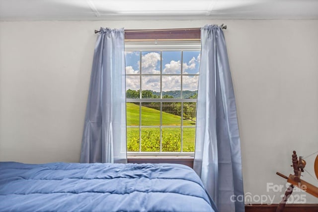 5215 Double Island Rd, Green Mountain, NC 28740 - view of bedroom