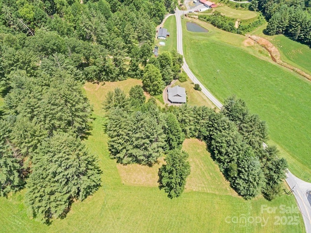 5215 Double Island Rd, Green Mountain, NC 28740 - aerial view of property and surrounding area