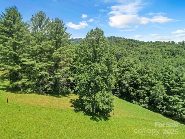 5215 Double Island Rd, Green Mountain, NC 28740 - view of grassy yard with a forest view
