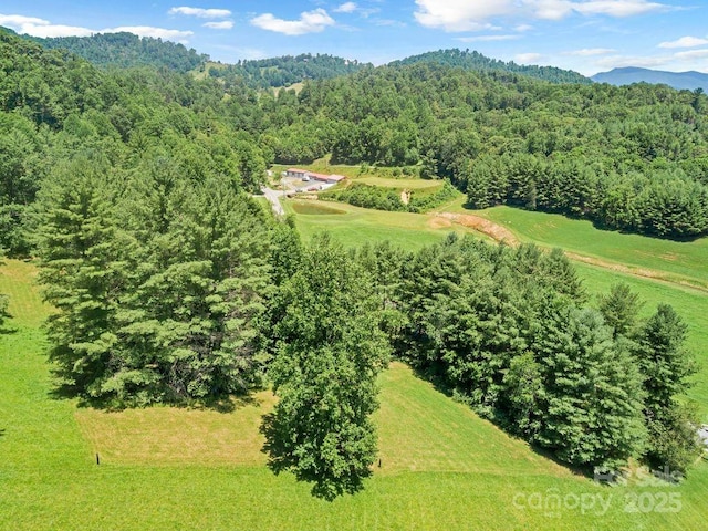 5215 Double Island Rd, Green Mountain, NC 28740 - bird's eye view of a forest and mountains