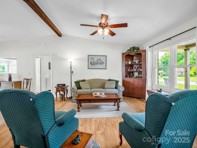 313 Resada Dr, Brevard, NC 28712 - living room featuring ceiling fan and light wood finished floors