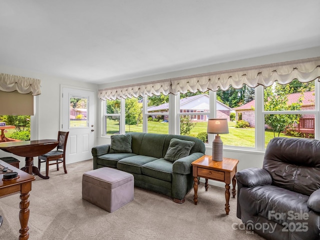 313 Resada Dr, Brevard, NC 28712 - living room featuring carpet flooring