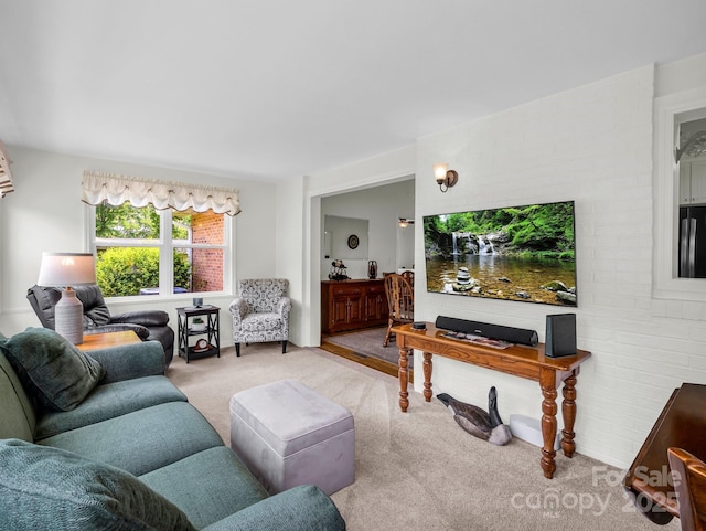 313 Resada Dr, Brevard, NC 28712 - view of carpeted living room