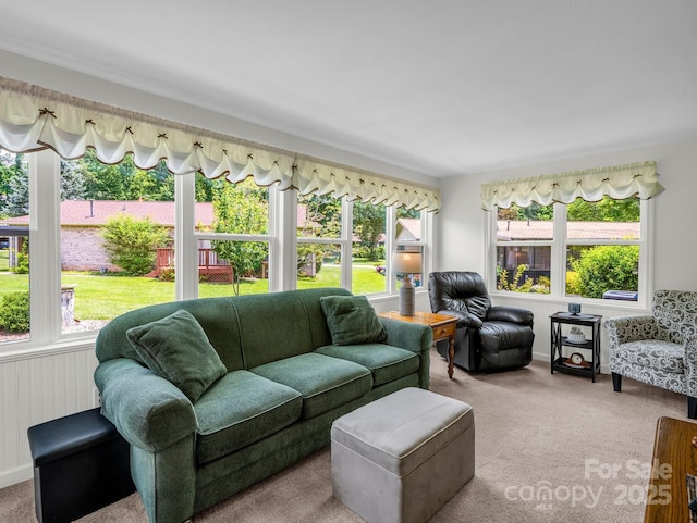 313 Resada Dr, Brevard, NC 28712 - carpeted living area featuring plenty of natural light