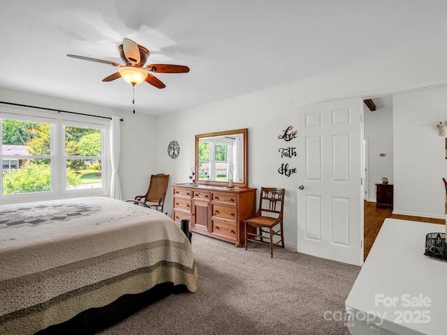 313 Resada Dr, Brevard, NC 28712 - bedroom featuring multiple windows, a ceiling fan, and carpet flooring