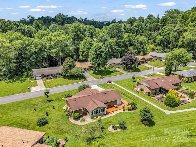313 Resada Dr, Brevard, NC 28712 - aerial view