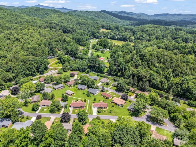313 Resada Dr, Brevard, NC 28712 - aerial view of mountains