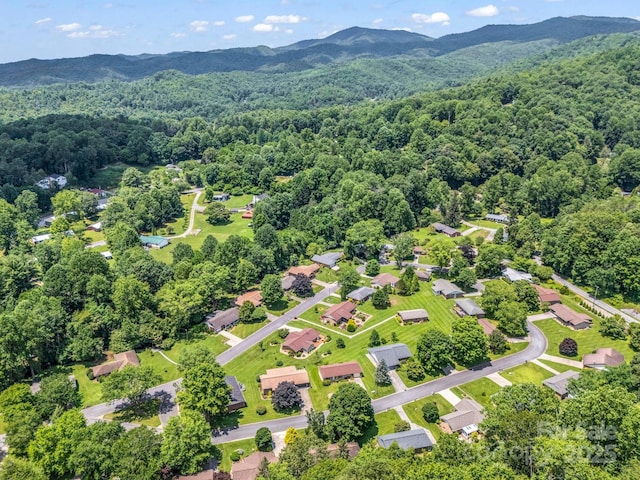 313 Resada Dr, Brevard, NC 28712 - drone / aerial view of a mountainous background