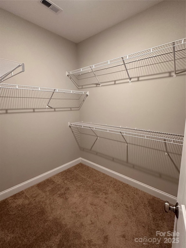 2261 Moss Haven Ln, Denver, NC 28037 - walk in closet with carpet flooring