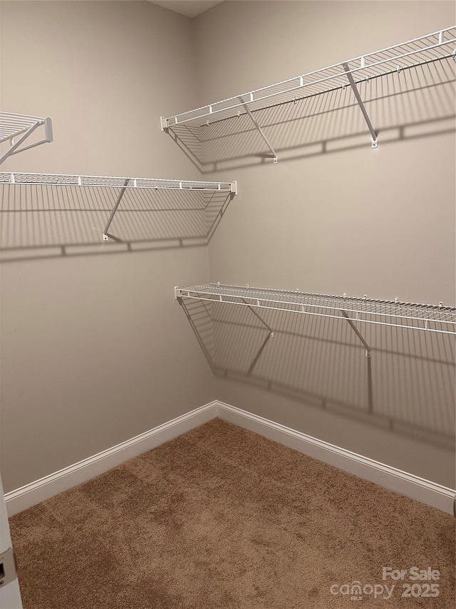 2261 Moss Haven Ln, Denver, NC 28037 - walk in closet featuring carpet