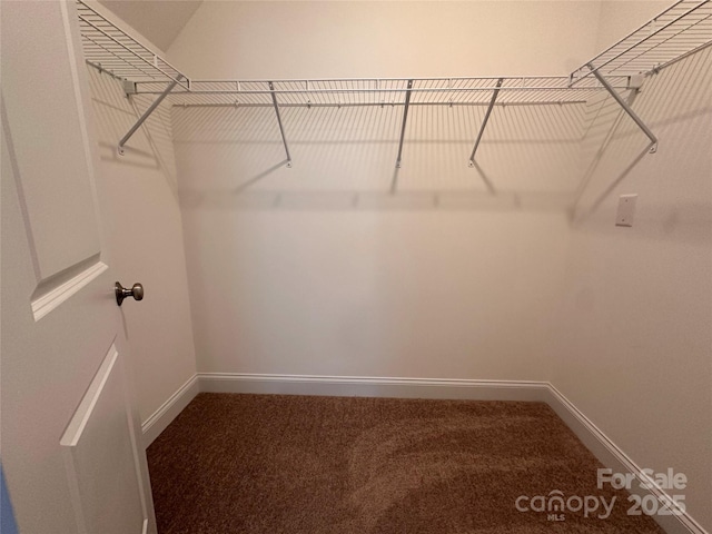 2261 Moss Haven Ln, Denver, NC 28037 - walk in closet with carpet flooring