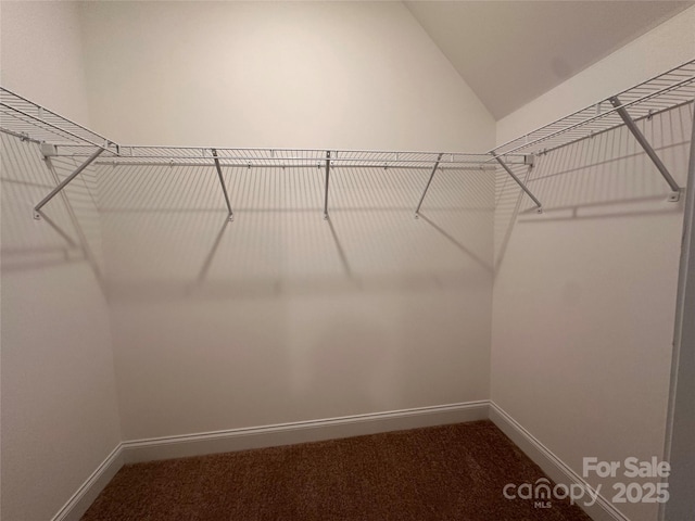 2261 Moss Haven Ln, Denver, NC 28037 - walk in closet featuring dark carpet and lofted ceiling