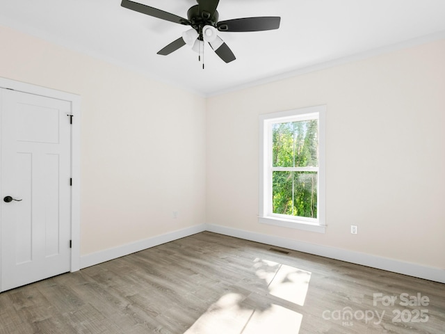 216 Lower Edgewood Rd, Candler, NC 28715 - photo 26