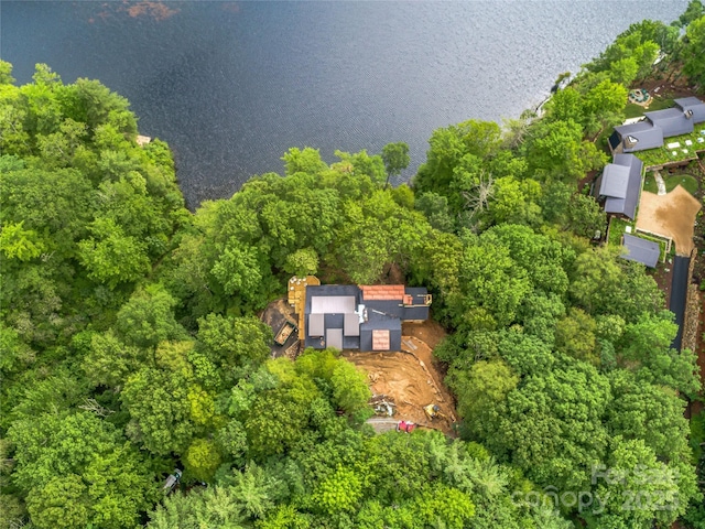 95 Cardinal Trce, Lake Toxaway, NC 28747 - photo 3