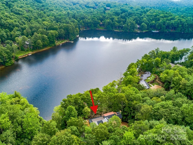 95 Cardinal Trce, Lake Toxaway, NC 28747 - photo 5