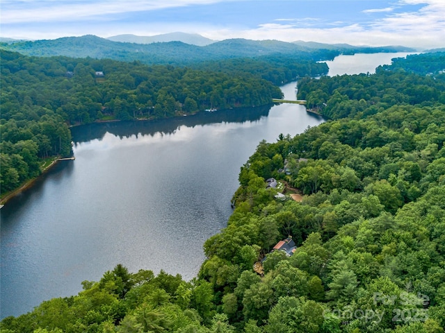 95 Cardinal Trce, Lake Toxaway, NC 28747 - photo 6