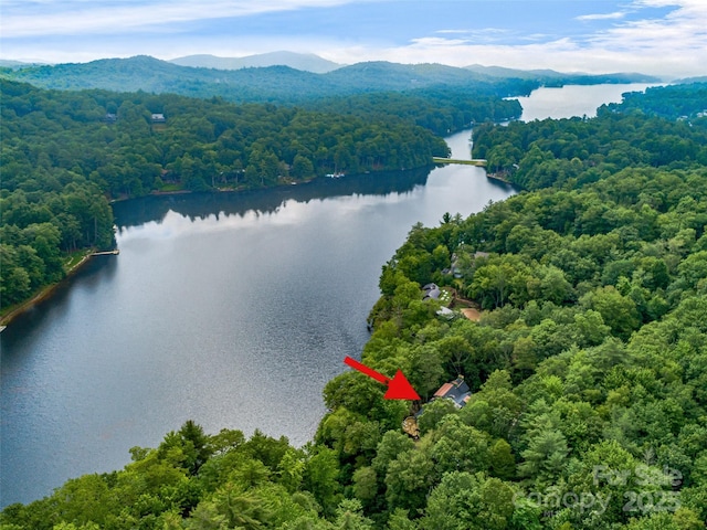 95 Cardinal Trce, Lake Toxaway, NC 28747 - photo 7