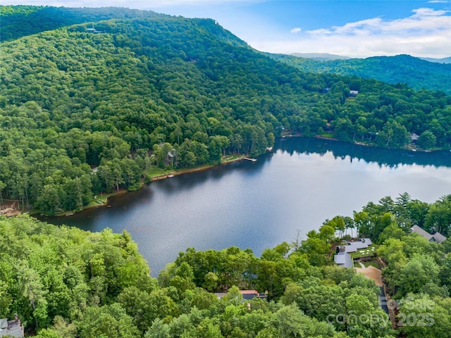 95 Cardinal Trce, Lake Toxaway, NC 28747 - photo 34