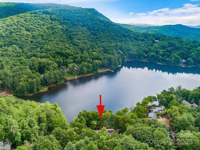 95 Cardinal Trce, Lake Toxaway, NC 28747 - photo 35