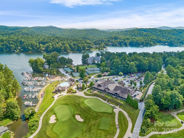 95 Cardinal Trce, Lake Toxaway, NC 28747 - photo 38