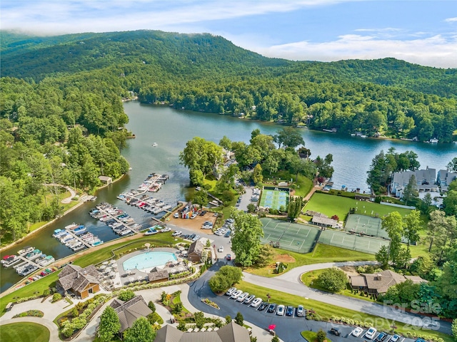 95 Cardinal Trce, Lake Toxaway, NC 28747 - photo 41