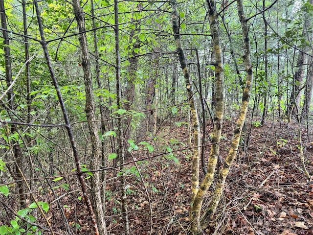 3666 Grandview Dr Unit 23, Morganton, NC 28655