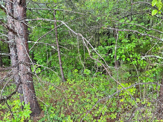 3666 Grandview Dr Unit 23, Morganton, NC 28655