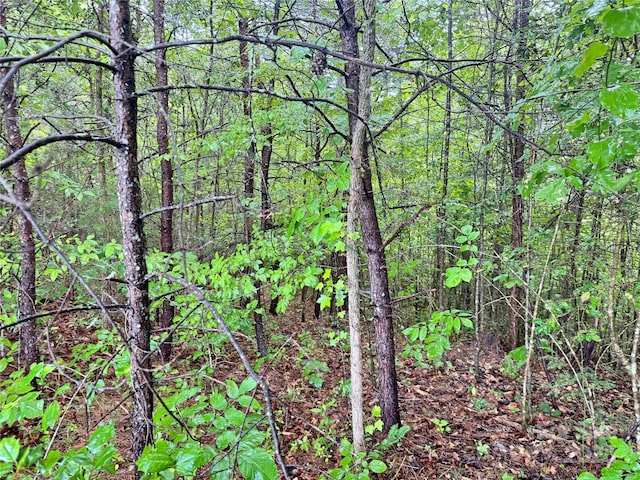 3666 Grandview Dr Unit 23, Morganton, NC 28655