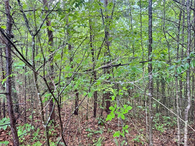 3666 Grandview Dr Unit 23, Morganton, NC 28655