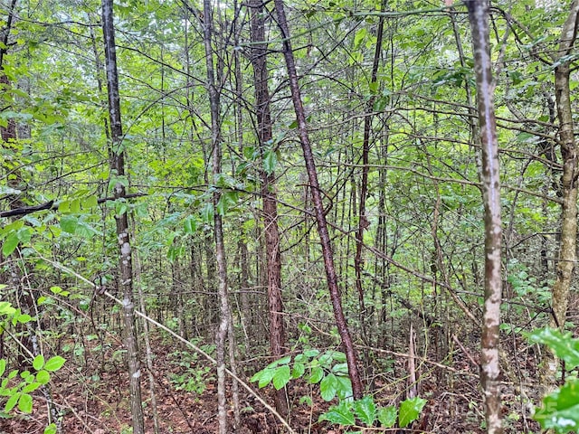 3666 Grandview Dr Unit 23, Morganton, NC 28655