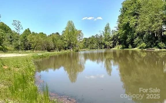 11 Lake Dr Unit B-1, Hendersonville, NC 28739 - water view featuring a heavily wooded area