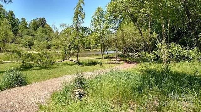 11 Lake Dr Unit B-1, Hendersonville, NC 28739 - view of community