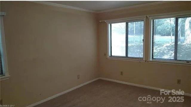 11 Lake Dr Unit B-1, Hendersonville, NC 28739 - carpeted spare room with baseboards and ornamental molding