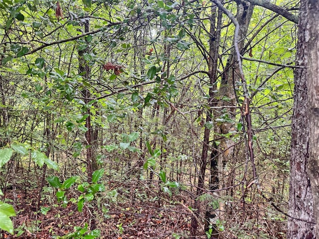 3680 Grandview Dr Unit 22, Morganton, NC 28655